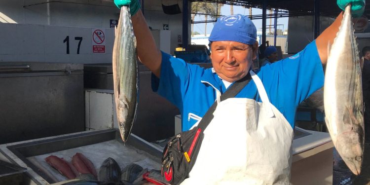 Perú: dan por concluidas actividades extractivas del recurso jurel