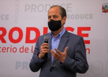 Alfonso Miranda: “Pedimos celeridad en regularización de barcos transzonales”