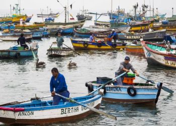 INFORME | Pescadores en Perú enfrentan a los ilegales: “Nos hemos organizado para trabajar la Chita pese a los peligros”