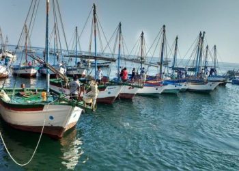 Fomentan el desarrollo de actividades económicas ecoamigables en las zonas marino costera