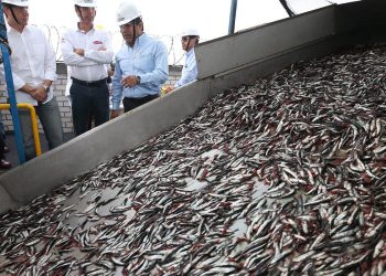 OPINIÓN | Cuidamos el recurso de todos los peruanos