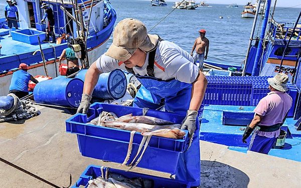Produce ofrecerá créditos con baja tasa de interés mediante el Fondepes