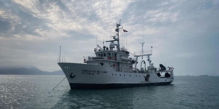 Imarpe evalúa recurso calamar gigante en la zona centro del litoral peruano