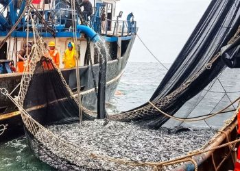 Pescadores industriales están expuestos a la cárcel por Ley de Extinción de Dominio