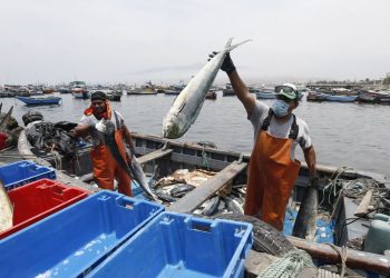 Hace año y medio que pescadores artesanales esperan que Produce publique reglamento de Ley 31749