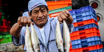 Produce mejora la eficiencia y desarrollo de la pesca de merluza con nueva normativa