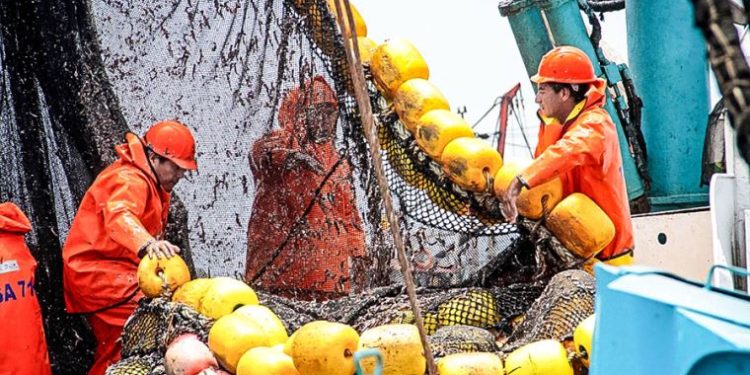 Pesca de anchoveta alcanza el 65.56% de la cuota en la segunda temporada 2024