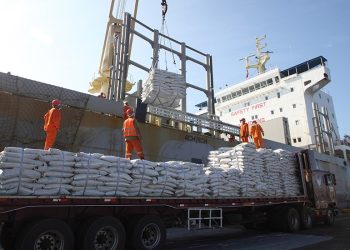 Exportaciones de harina de pescado crecieron 620% en el tercer trimestre del 2024