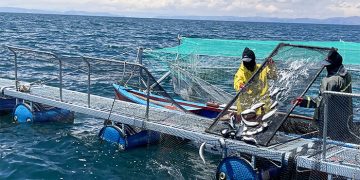 Perú se declara ante la OMSA como país libre de cuatro enfermedades en la especie trucha arcoíris