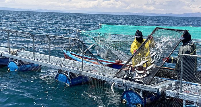 Perú se declara ante la OMSA como país libre de cuatro enfermedades en la especie trucha arcoíris