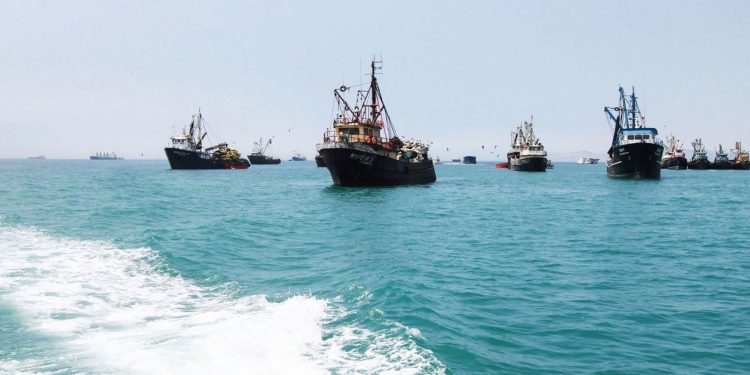 Segunda temporada de pesca de anchoveta supera 95% de la cuota asignada