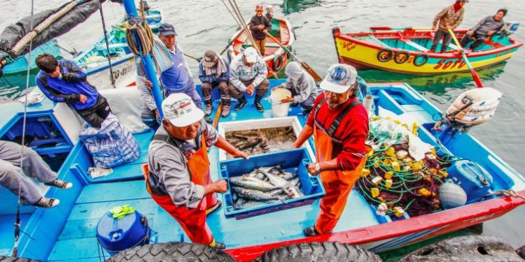 Infraestructuras pesqueras y acuícolas tienen plazo hasta el 30 de agosto para adecuarse