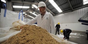 La harina de pescado peruana registra un récord histórico en las exportaciones: ventas aumentan más de 600%