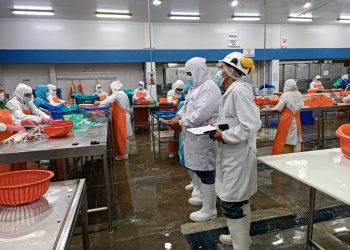 CITEpesquero Piura capacitó a 400 productores y profesionales en normatividad, sanidad e inocuidad
