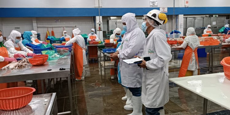 CITEpesquero Piura capacitó a 400 productores y profesionales en normatividad, sanidad e inocuidad