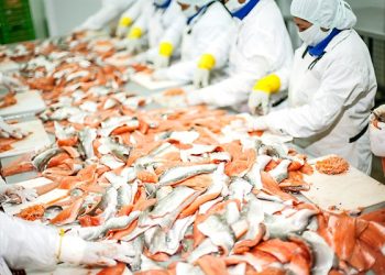 Pesca se expandió 24.89% en el 2024