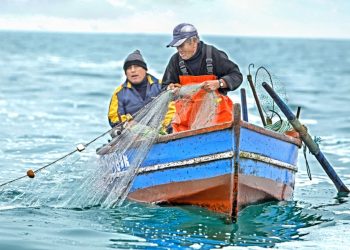 Atención trabajador pesquero: conoce las nuevas reglas del MEF para tus beneficios previsionales