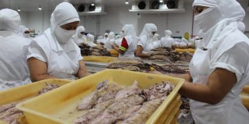 Tecopesca es la primera atunera ecuatoriana en exportar atún en lata a China, tras acuerdo comercial