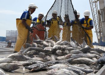 OPINIÓN | La verdad se impone a todas las mentiras