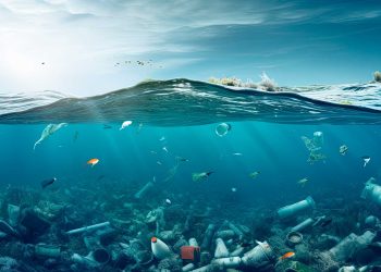 OPINIÓN | Compromisos cumplidos