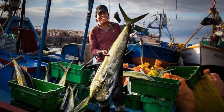 Pesca de perico: nuevos plazos para instalar sistema satelital para embarcaciones