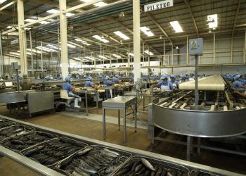 Estimaciones de IFFO para la producción de harina y aceite de pescado en 2024
