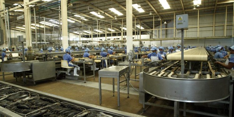 Estimaciones de IFFO para la producción de harina y aceite de pescado en 2024