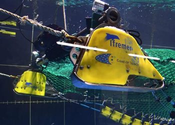 INFORME | Nuevas tecnologías en redes para una pesca más sostenible