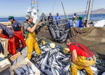 OPINIÓN | Pesca, motor del crecimiento