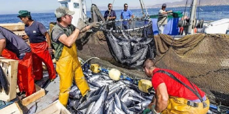 OPINIÓN | Pesca, motor del crecimiento