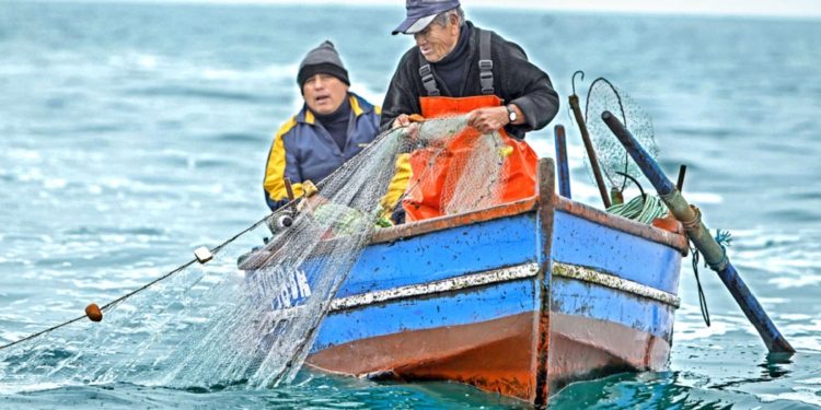 Atención trabajador pesquero: conoce las nuevas reglas del MEF para tus beneficios previsionales