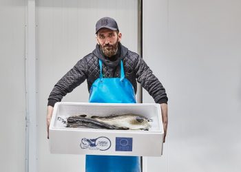 El sector del plástico recuerda el papel estratégico del poliestireno expandido en los envases de pescado