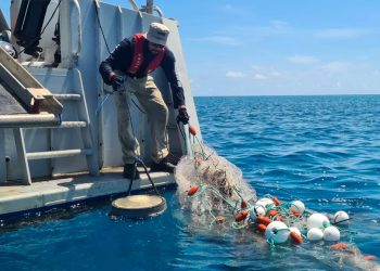 OPINIÓN | Pesca sostenible y circular