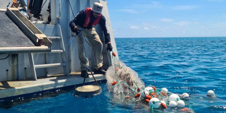 OPINIÓN | Pesca sostenible y circular