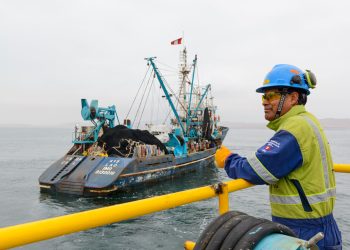 Día Nacional de la MYPE: impulso clave en la industria pesquera en el Perú