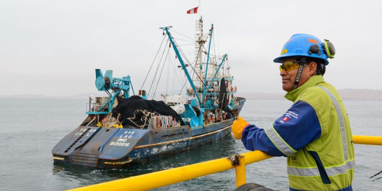 Día Nacional de la MYPE: impulso clave en la industria pesquera en el Perú