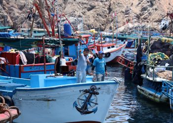 Produce facilita acceso al Carné de Pescador Artesanal con curso gratuito de corta duración hasta septiembre del 2025