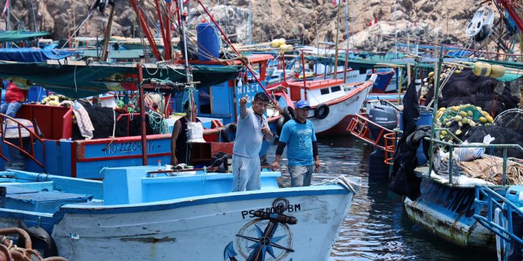 Produce facilita acceso al Carné de Pescador Artesanal con curso gratuito de corta duración hasta septiembre del 2025