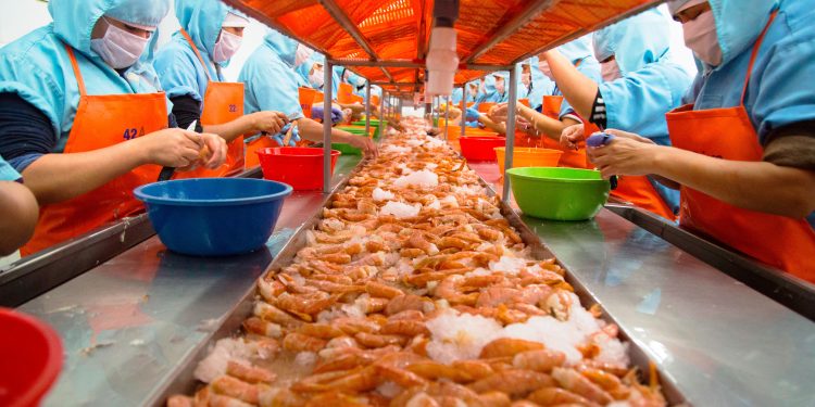 Sanipes habilita en plataforma web datos de interés de plantas de procesamiento de productos hidrobiológicos habilitadas en el país