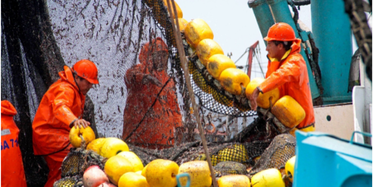 Perú consolida su liderazgo en pesca sostenible: Temporada de anchoveta 2025 avanza con base científica y compromiso social
