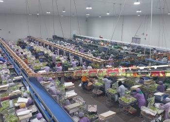 PRODUCE amplía los servicios del CITEpesquero Piura a las cadenas productivas acuícola y agroindustrial