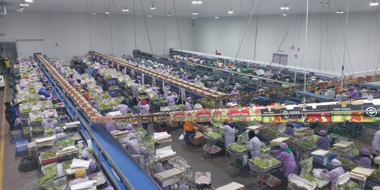 PRODUCE amplía los servicios del CITEpesquero Piura a las cadenas productivas acuícola y agroindustrial