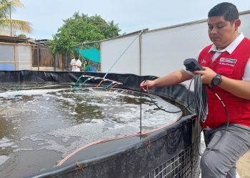 Fortalecen capacidades en economía circular aplicada al sector pesquero y acuícola