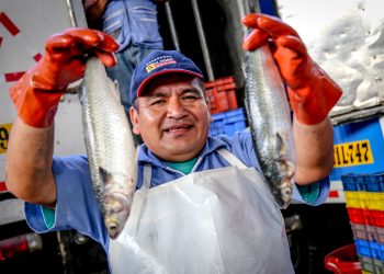 Produce: Más de 16 000 certificados sanitarios emitidos en el primer semestre de 2025 impulsan el comercio hidrobiológico