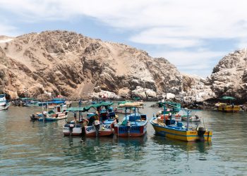 Día Mundial de los Mares: FONDEPES capacitó a más de 4800 pescadores artesanales en buenas prácticas de liberación de tortugas marinas