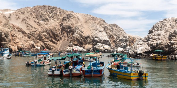 Día Mundial de los Mares: FONDEPES capacitó a más de 4800 pescadores artesanales en buenas prácticas de liberación de tortugas marinas