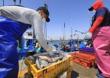 Perú asume presidencia del Subcomité de Comercio Pesquero del Comité de Pesca de la FAO, fortaleciendo su influencia en intercambios comerciales