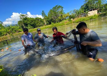 Sanipes presentará logros del programa de fortalecimiento de capacidades a acuicultores de categoría AREL en 8 regiones del país