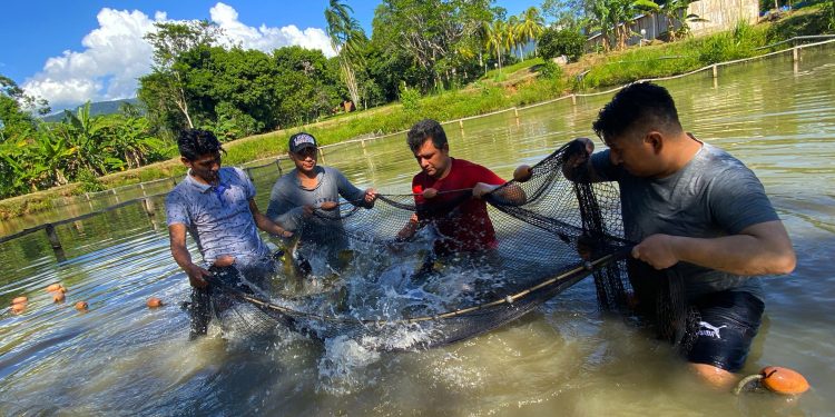 Sanipes presentará logros del programa de fortalecimiento de capacidades a acuicultores de categoría AREL en 8 regiones del país