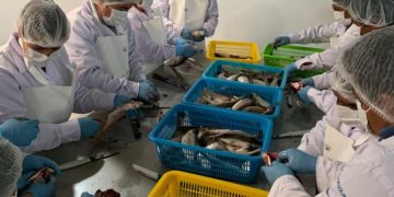 MÁS DE 100 UNIDADES PRODUCTIVAS FORTALECEN SUS CAPACIDADES EN NORMATIVA PERUANA PARA LA ECONOMÍA CIRCULAR